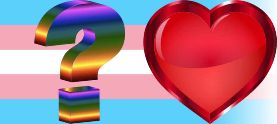 Transgender flag, question, and heart