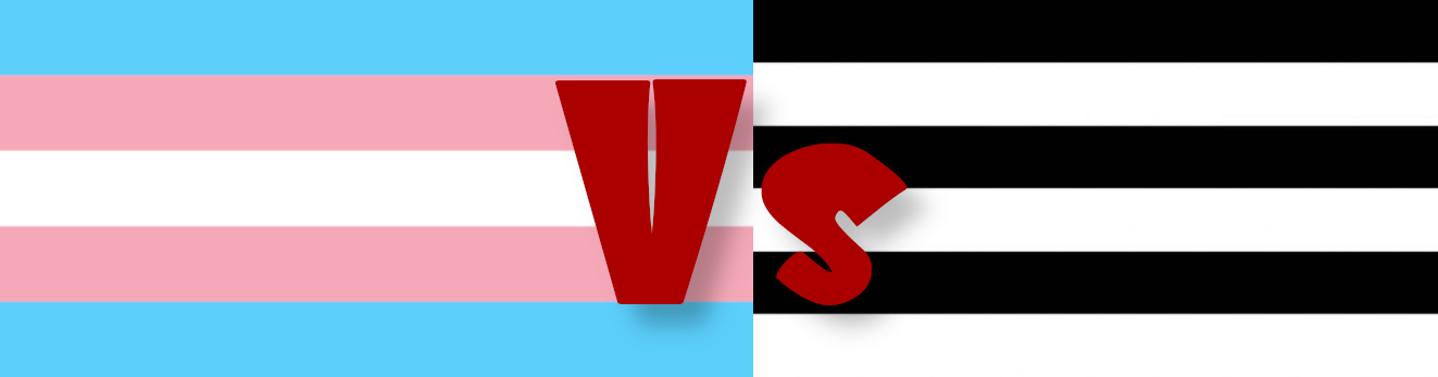 Trans pride flag versus straight pride flag